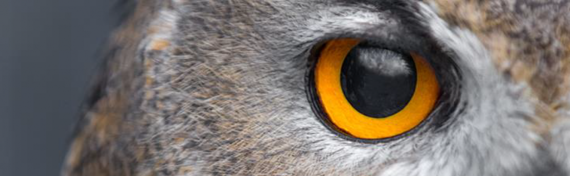 bases-concurso-airpods