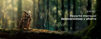 Visión enero 2026 LV