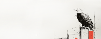 Fondo LV Enfoque cierra un año histórico